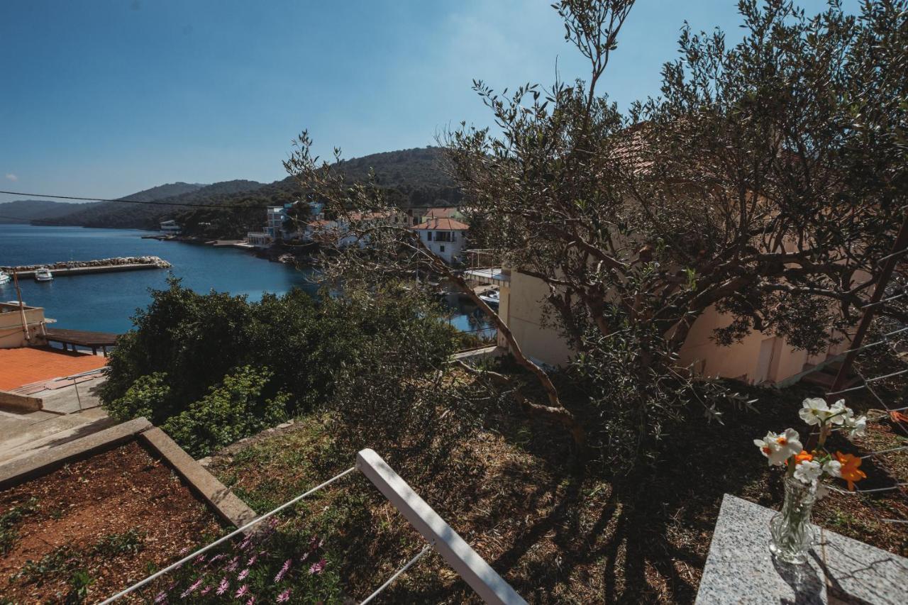 Rooms Emilija Božava المظهر الخارجي الصورة